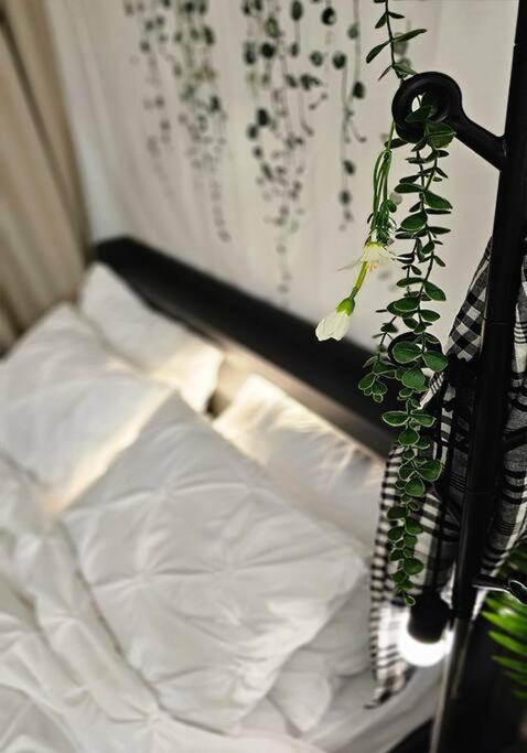 Cozy Near Hongdae & Sinchon Station 4min For Max 6